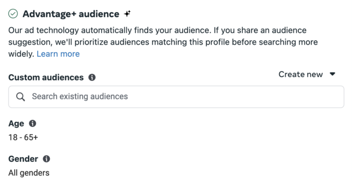 Advantage+ Audience Suggestions